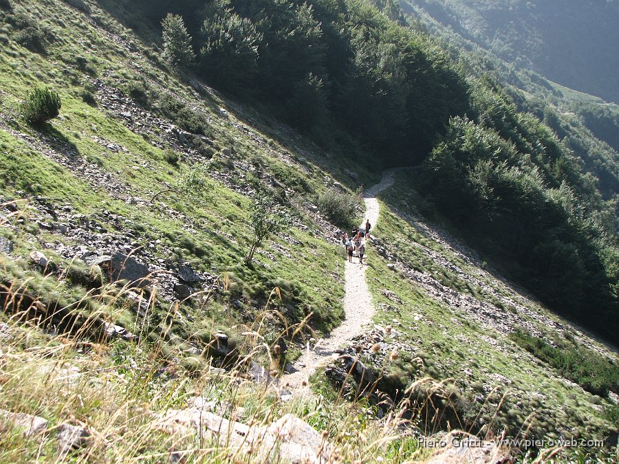 maslnaa-curo 092.jpg - Da qui in poi, scendendo, il sentiero panoramico entra nel bosco